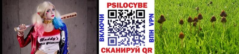 Галлюциногенные грибы MAGIC MUSHROOMS  дарк нет какой сайт  Балей 